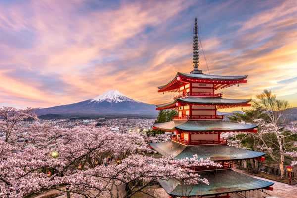 Grande découverte du Japon