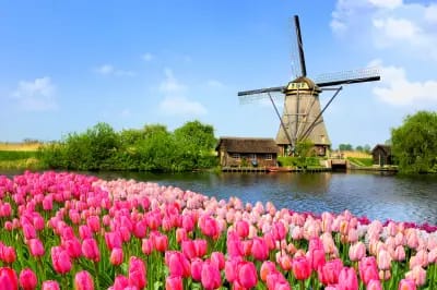 Saison des Tulipes : Découverte de la Hollande et de la Belgique