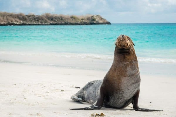 L'Équateur et les îles Galapagos
